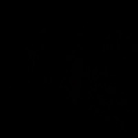 Usuario no disponible