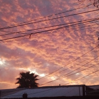 Morena-_-69
