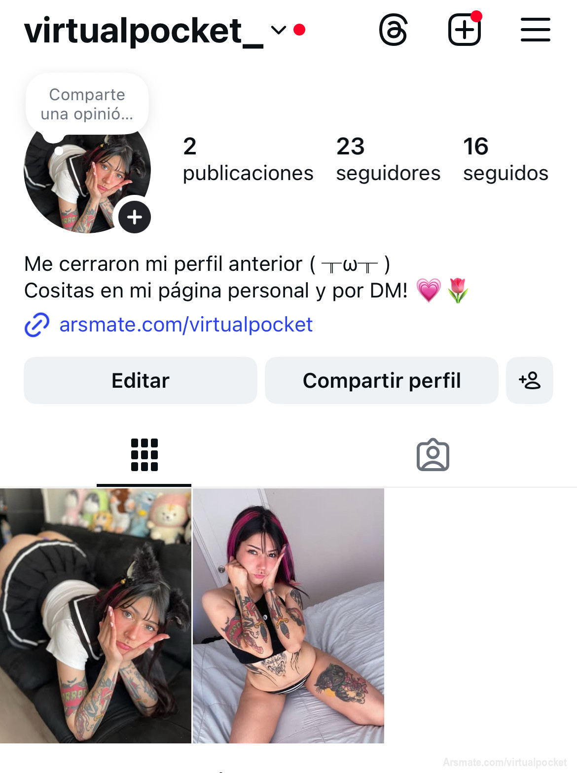 Antes tenía un perfil en instagram con muchos seguidores, pero me lo cerraron por cochinita u_u eso me ha tenido desmotivada de subir cosas, pero me haría mucha ilusión si me siguen hasta con sus perfiles falsos y así lo re activo jiji 🩵 es @virtualpocket_