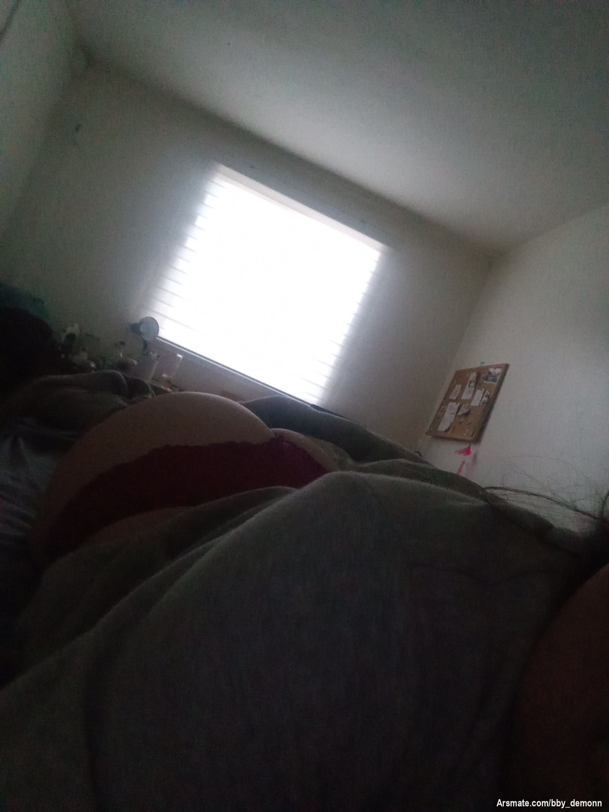 Hola mis amores, perdón por tenerlos tan botados 😔 estos días trataré de subirles cositas ricas🫣😽